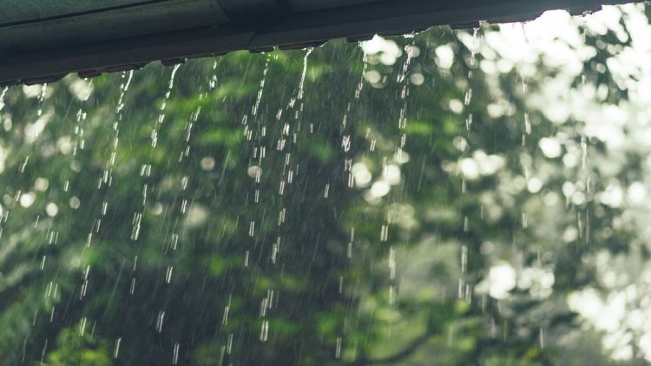 Ilustrasi hujan. (Net)