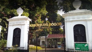 Bogor-1637891939