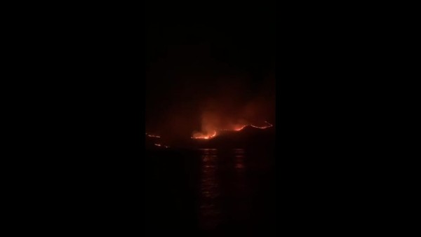 Kebakaran Pulau Rinca-1635981819