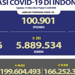 Data terkini covid-19 di Indonesia (BNPB_Indonesia)-1652614255