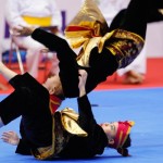 Pencak silat-1652226666