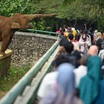 Ragunan-1651566460