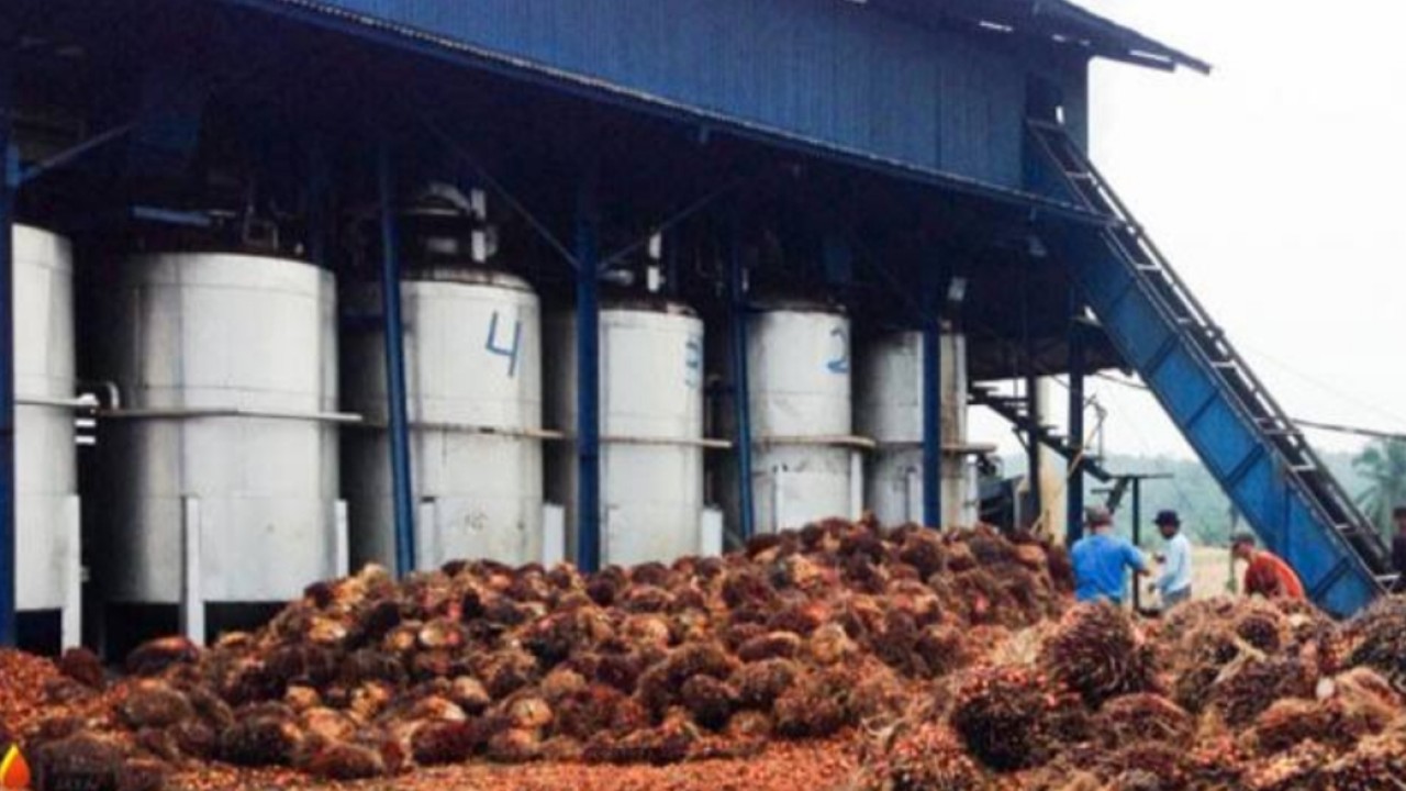 Pabrik kelapa sawit (TPS) banyak yang tutup lantaran harga sawit kian anjlok/net