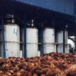 Pabrik kelapa sawit-1656129916