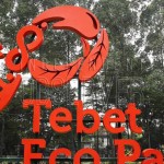 Tebet Eco Park-1655561038