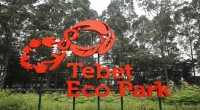 Tebet Eco Park-1655561038