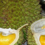 Buah Durian-1658151788