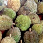 Buah Durian-1658153561