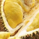 Buah durian-1658157395