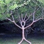 Pohon unik-1657949243