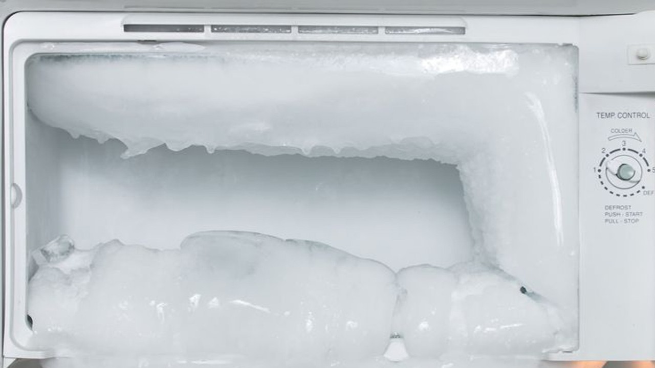 Bunga es di dalam freezer.