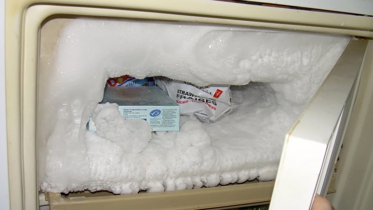 Bunga Es di dalam Freezer