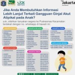 Layanan informasi Dinkes DKI-1666758402