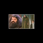 Robbie Coltrane pemeran Hagrid di film Harry Potter-1665825226