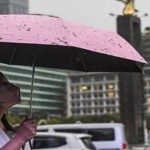 Arsip foto - Seorang warga menggunakan payung saat turun hujan di kawasan Bundaran Hotel Indonesia, Jakarta, Selasa (4/10/2022). (ANTARA FOTO/M Risyal Hidayat/tom/pri)-1668135400