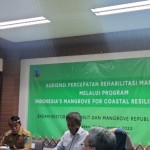 Bank Dunia bantu program rehabilitasi mangrove di Kaltara-1669084105