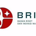 BRIN-1669719067