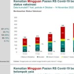 Grafik kasus kematian akibat COVID-19-1668594924