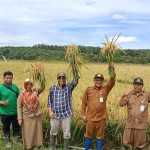 Kabupaten Paser telah mencapai swasembada pangan khususya untuk komoditas beras sejak dua  tahun terakhir.-1669186773