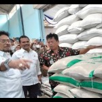 Kementan: 610 ribu ton beras di penggilingan siap diserap Bulog-1669797731