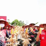 Lapas Sukamara kembangkan pertanian jagung dukung ketahanan pangan-1669369792