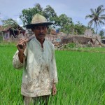 petani-1669802271
