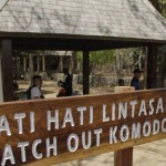 Seorang wisatawan saat berwisata di Pulau Komodo, Taman Nasional Komodo, Kabupaten Manggarai Barat, NTT. (ANTARA/Kornelis Kaha)-1669609952