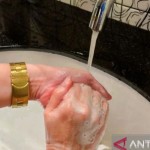 Seseorang sedang mencuci tangan. ANTARA/Wuryanti Puspitasari.-1667268399
