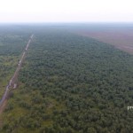 Warga Suku Anak Dalam atau orang rimba yang juga berhak mendapatkan hak agrarianya pada program Tora (Tanah Objek Reforma Agraria). ANTARA/HO-Warsi-1669347683