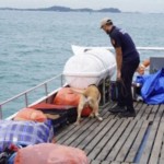 Bea Cukai melakukan proses pemeriksaan kapal dengan melibatkan Tim K-9 dengan anjing pelacak. ANTARA/HO-Humas Pajak Batam-1671161297