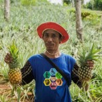 Bonefasius Hariyanto, pemilik produk selai nanas yang diberi nama Casana Mbokol. (ANTARA/HO-Dokumentasi Pribadi)-1671089283