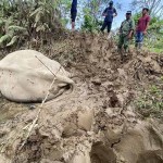 gajah jinak-1672056556