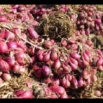 Ilustrasi, Disperindag Provinsi Kepulauan Babel tambah pasokan bawang merah. ANTARA (Antara)-1670993849
