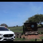 MG ZS saat difoto di kawasan Taman Nasional Baluran, Situbondo, Jawa Timur, Rabu (7/12/2022). (ANTARA/Arnidhya Nur Zhafira)-1670473609