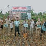 Panen raya kedelai di Desa Bleberan, Kabupaten Gunungkidul. (ANTARA/Dokumen istimewa)-1672304111
