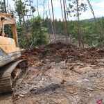 Pembangunan Ibu Kota Nusantara di Sepaku, Penajam Paser Utara, Kalimantan Timur terus dikebut. ANTARA/Novi Abdi-1669859805