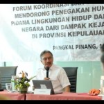 Pemerintah fokus tangani masalah tambang timah ilegal di Babel-1671069380