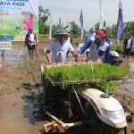 Penanaman perdana program Agrosolution Pupuk Kaltim di Kabupaten Ponorogo Jawa Timur untuk komoditas padi. ANTARA/HO-Pupuk Kaltim-1671785381