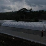 Penerapan pertanian digital dengan teknologi Screen House atau Smart Green House (SGH) (Antara/HO/Kementan)-1672042511