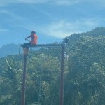 Petugas PLN bekerja membangun jaringan listrik pedesaan di NTT. (ANTARA/HO-Humas PLN UIW NTT)-1672218557