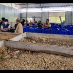 sampah organik-1671612215