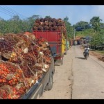 Bengkulu perketat penyaluran bantuan PSR. ANTARA/Anggi Mayasari-1673334821