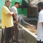 Kelurahan Pejeruk Mataram manfaatkan pekarangan untuk budidaya ikan-1673594119