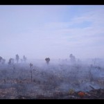 Natuna-1674131052