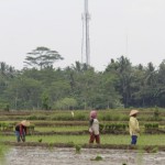 Pemprov Lampung sebut pertanian hemat air jadi solusi perubahan iklim-1673497653