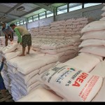 PT Pupuk Kujang salurkan sekitar 800 ribu pupuk subsidi sepanjang 2022-1672909460