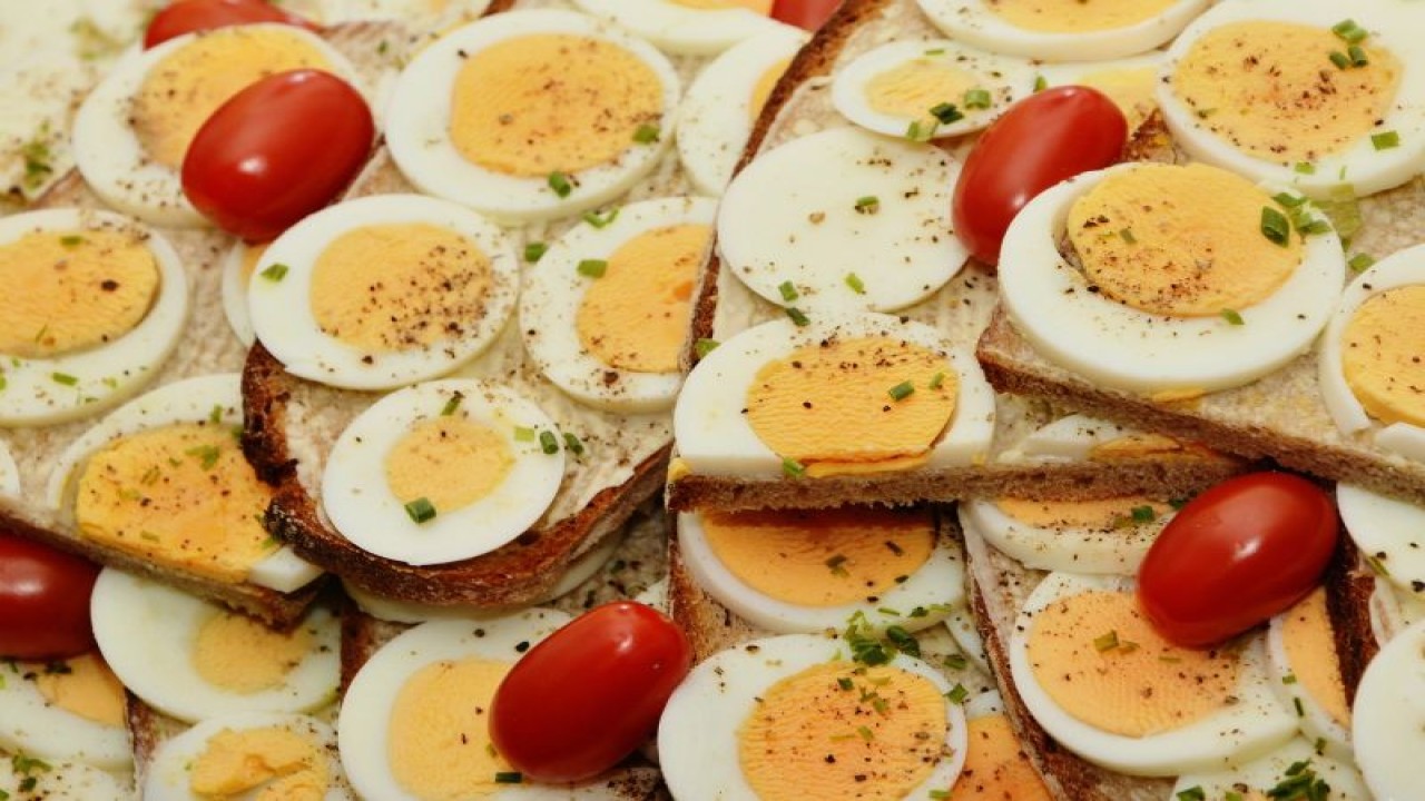 Ilustrasi telur sebagai sumber protein (Pixabay)