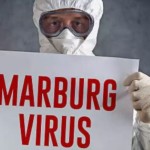 Virus Marburg-1679880906