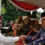 Wapres Kurban Sapi Limousin di Masjid Istiqlal-1688004433