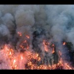 BNPB: Gempuran bom air jinakkan karhutla di Ogan Komering Ilir-1695008405